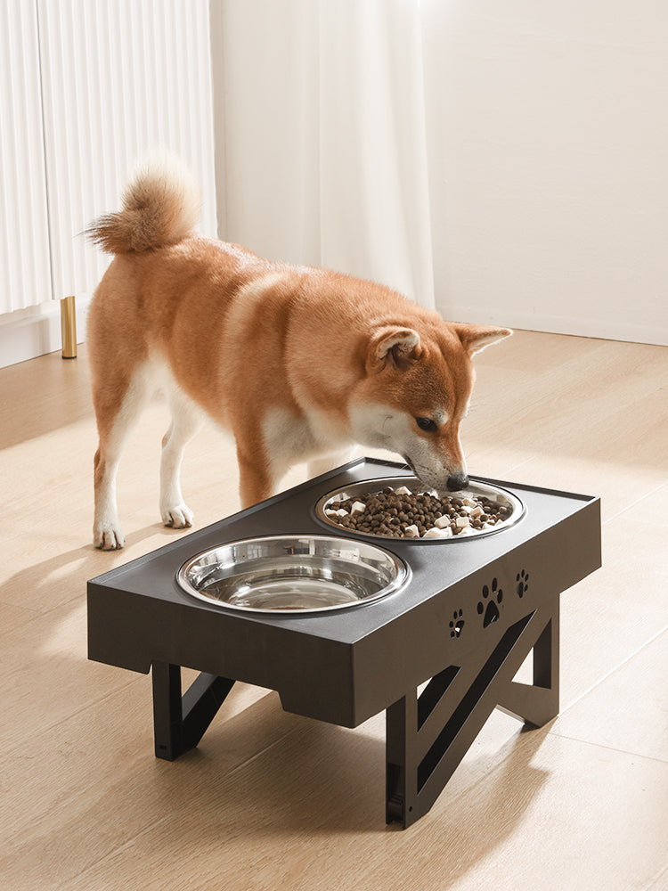 pet bowl dog bowl pet feeder