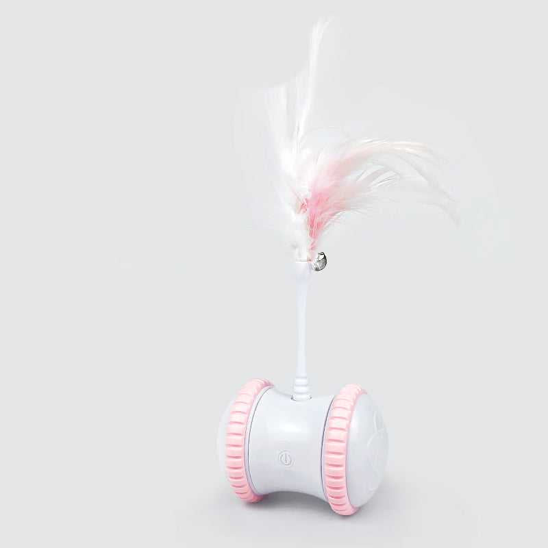 Cat toy ball Cat toy ball Accessories Accessories 44 Pet Palace Co