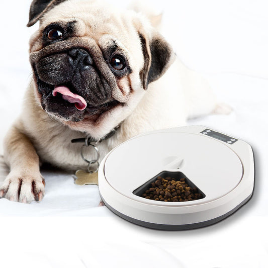 dog intelligent timing bowl
