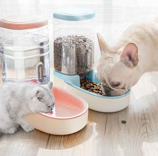 Pet dog automatic feeder