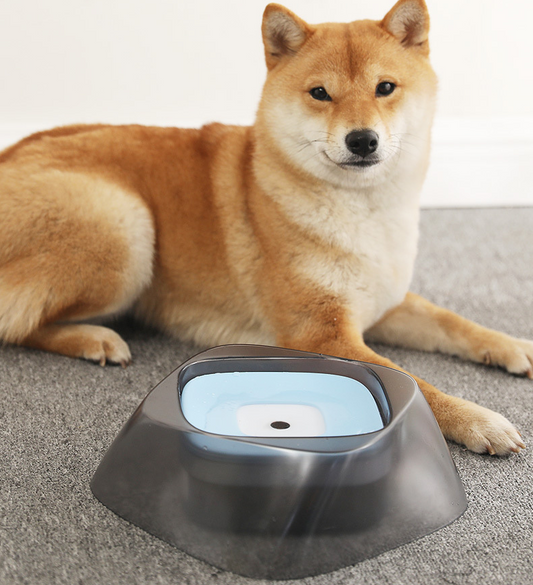 Pet Dog Bowl Floating 