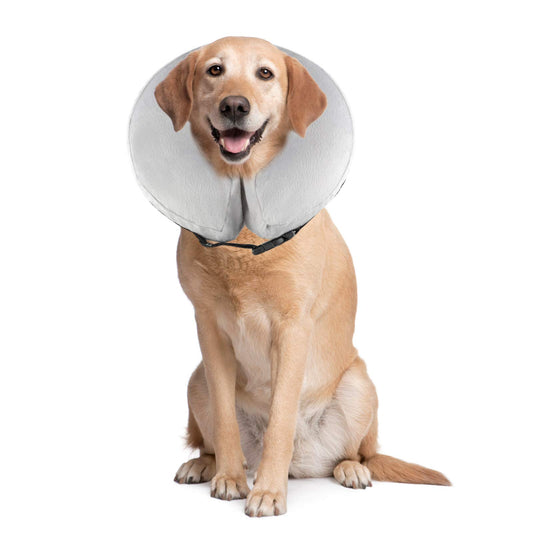PET SPPTIES aufblasbar Halsband für Haustier Hund Katze bequem weich Recovery Schwimmen Schutz-mit Magic Reißverschluss für Haustier Hund Nackenschutz Kissen PS005 (L/Grey)