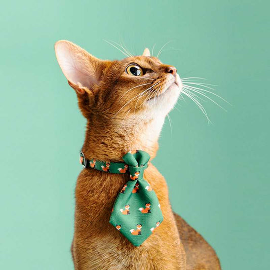 Collar Dog Gentleman Tie Accessories Adjustable Pet Products Collar Dog Gentleman Tie Accessories Adjustable Pet Products Accessories 16 Pet Palace Co